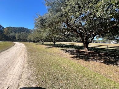 Lot 35 Josie Ridge Rd, Wadmalaw Island, SC 29487 - photo 7