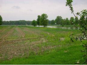 0 550 E unit 269931, Batesville, IN 47006 - photo 3