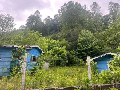 918 Spurlock Fork, Dana, KY 41615 - photo 7