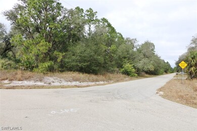 2607 E 19th St, Lehigh Acres, FL 33972 - photo 3