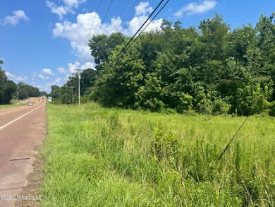 580 S Highway 61, Natchez, MS 39120 - photo 6