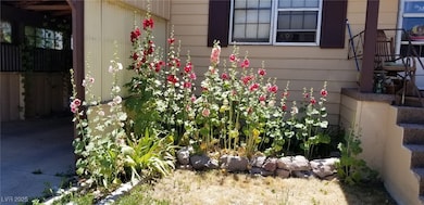 561 Main St, Caliente, NV 89008 - photo 3