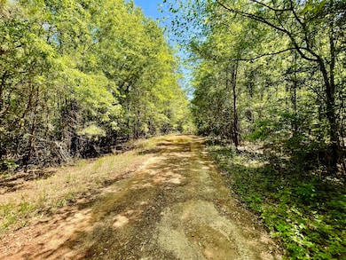 Oilfield Road that will be used for servitude