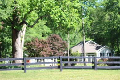 1050 Morgan Dr, Buckhead, GA 30625 - photo 7