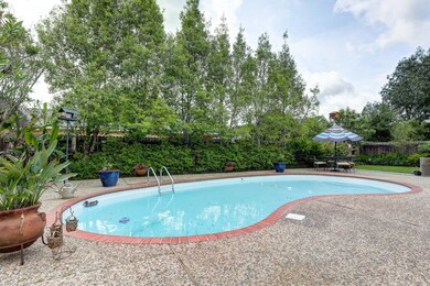 Backyard Oasis view 2