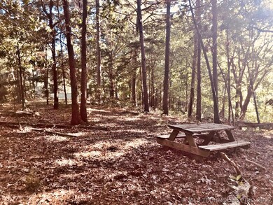 0 N 593 Rd unit 2036395, Tahlequah, OK 74464 - photo 5