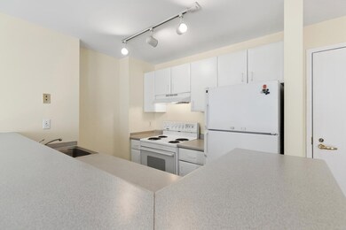 The Charlesview unit 302, Boston, MA 02215 - photo 5