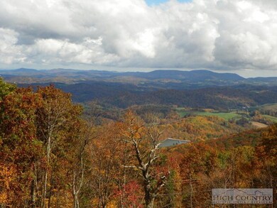 view with trimmed tr