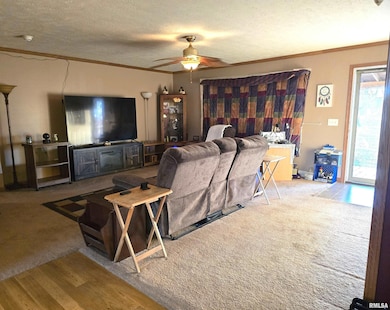 13960 Meridian Rd, Carterville, IL 62918 - photo 5