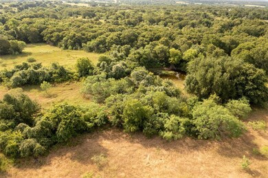 000 Adell Cir, Weatherford, TX 76088 - photo 3