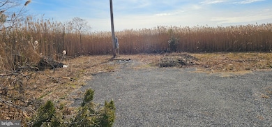 2806 Kitts Hummock Rd, Dover, DE 19901 - photo 2