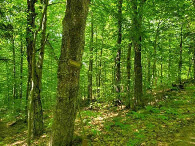 7 Pike Hill Rd, Hebron, NH 03241 - photo 6