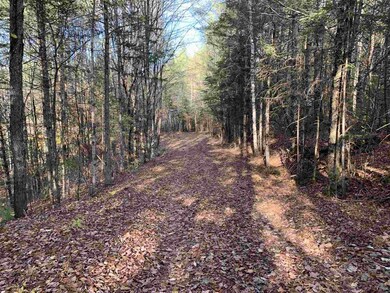 000 Vt Route 114, Burke, VT 05832 - photo 7