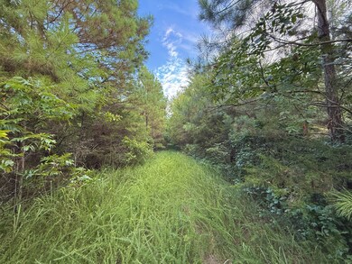 1 Rushing Ln, Lexington, TN 38351 - photo 2