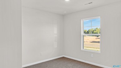 137 Trestle Point Dr, Harvest, AL 35749 - photo 3