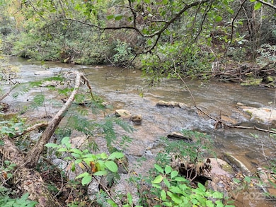 0 Antioch Rd unit CAR4315702, Lake Lure, NC 28746 - photo 3