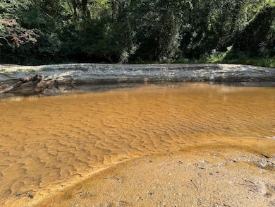 000 Pleasant Ridge Rd, Hickory, MS 39332 - photo 2