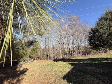 0 State Line Rd unit RTC3051371, Loretto, TN 38469 - photo 7