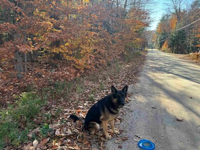 9 Huttwil Dr, Ossipee, NH 03849 - photo 3