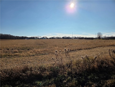 00 New York 96a, Ovid, NY 14521 - photo 4