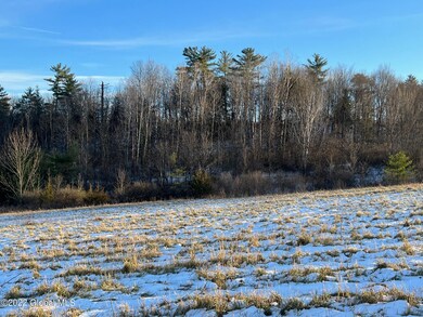 Views of Woods