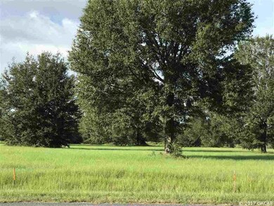 74 SW Mandiba Dr, Lake City, FL 32024 - photo 4