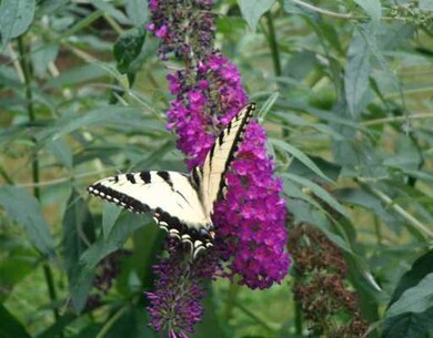 266 Twin Brook Ln, Coventry, RI 02816 - photo 6