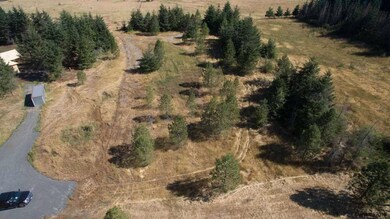 4387 Windy Way NE, Silverton, OR 97381 - photo 2