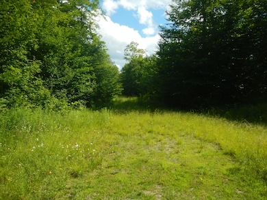 DSCN8764