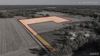 0 W County Line Rd unit Tract 2, Brighton, IL 62012 - photo 3