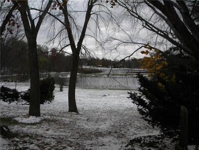 Rear Yard