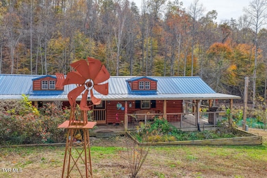 3858 Beech Creek Rd, Rogersville, TN 37857 - photo 3