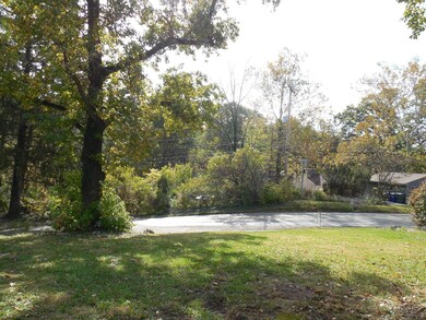 290 - Front yard view