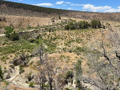 Tbd 2 County Road 300, Battlement Mesa, CO 81635 - photo 3