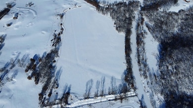 37.11 Ac Davis Ln, Argyle, WI 53516 - photo 5