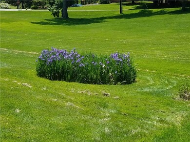 these flowers may or may not be on the lot, but yo