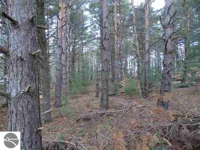 0 Brook Ave unit 1785391, Kaleva, MI 49645 - photo 3