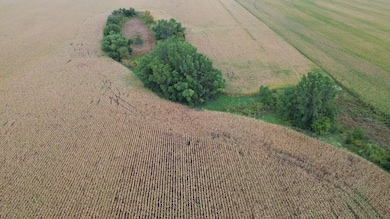 256th and Ditch Rd, Renner, SD 57055 - photo 6