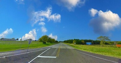 Lot 65 Coyote Creek Dr, Gordonville, TX 76245 - photo 3