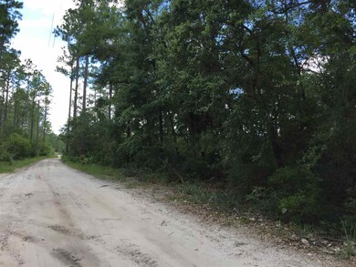 0 Whippoorwill Ln unit 296266, Crawfordville, FL 32327 - photo 3