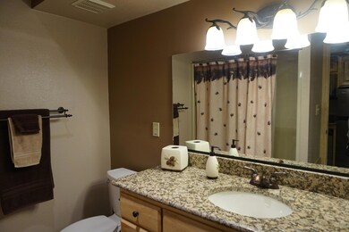 223 W Hunter Ridge Dr unit E306, Brian Head, UT 84719 - photo 7