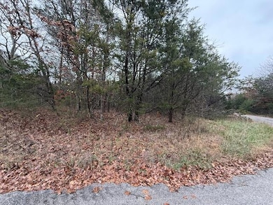 136 Lots Turkey Mountain Estates, Shell Knob, MO 65747 - photo 3