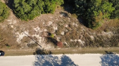 TBD SW 146th Ct, Ocala, FL 34481 - photo 2