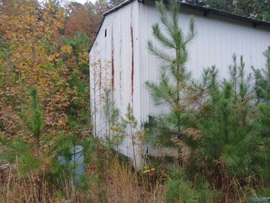 874 Mountain, Baileyton, AL 35019 - photo 6