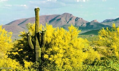 Level 95% buildable Carefree Arizona lot