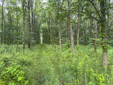 9283 E 250 S, Pierceton, IN 46562 - photo 6