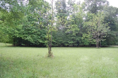 414 Laurel Falls Cove, Eads, TN 38028 - photo 5