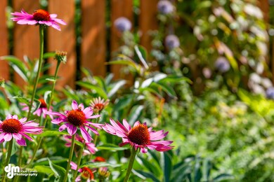 Front Garden_7705-FULL