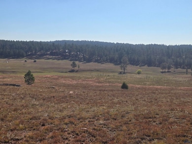 11815 W Argyle Rd, Custer, SD 57730 - photo 6