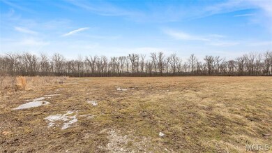 6024 Mo-N unit Lot 2, Saint Charles, MO 63304 - photo 3
